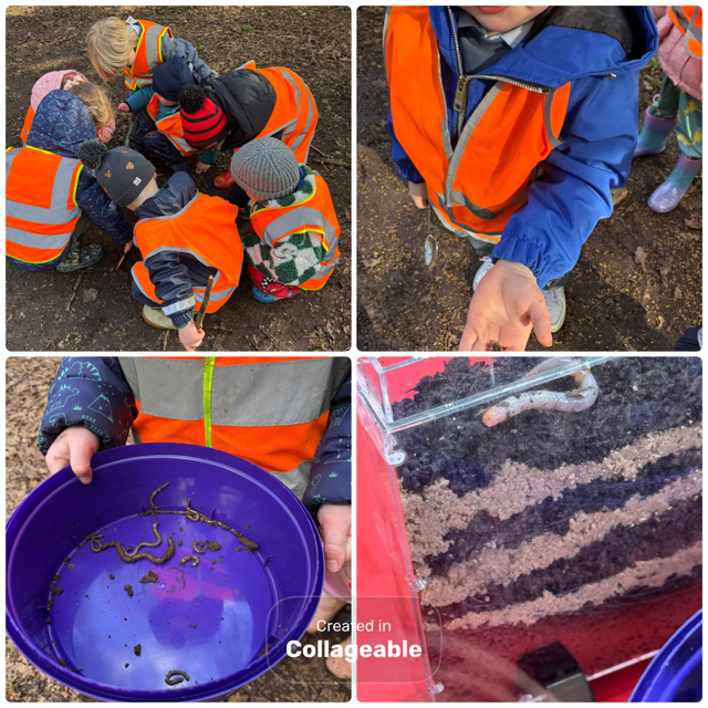 Worm Hunt